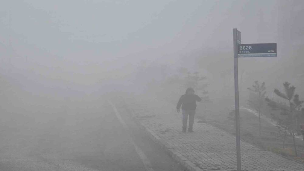 Elazığ’da yoğun sis etkili oldu, bir mahalle adeta kayboldu
